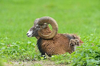 科幻惊悚游戏《无敌号》试玩开启 Steam免费下载Demo